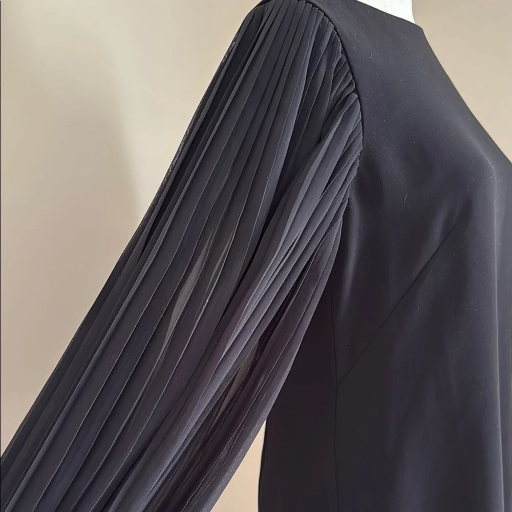 White House Black Market Black Dress Sheer Long Pleated Sleeve Women's 6